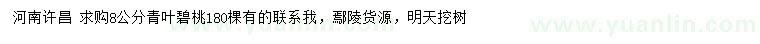 求購8公分青葉碧桃