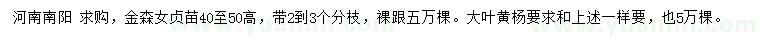 求購高40-50公分金森女貞、大葉黃楊