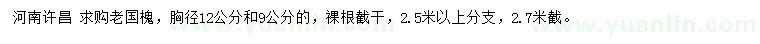 求購胸徑9、12公分老國槐
