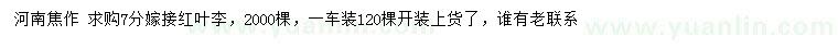 求購7公分嫁接紅葉李