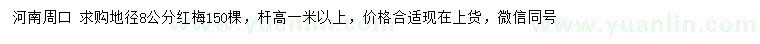 求購地徑8公分紅梅