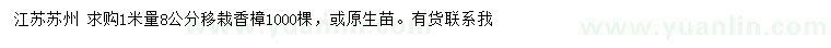 求購1米量8公分移栽香樟