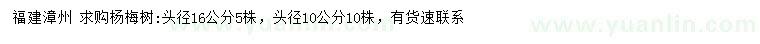 求購(gòu)頭徑10、16公分楊梅樹(shù)