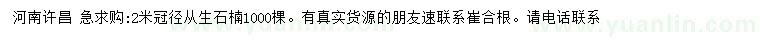 求購冠徑2米從生石楠