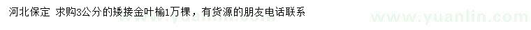 求購3公分矮接金葉榆