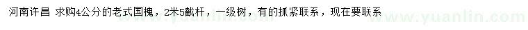 求購4公分老式國槐