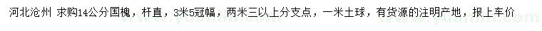 求購14公分國槐
