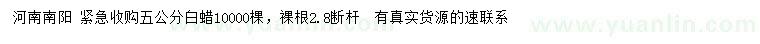求購5公分白蠟
