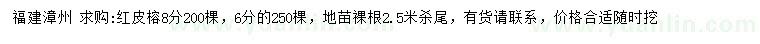 求購6、8公分紅皮榕