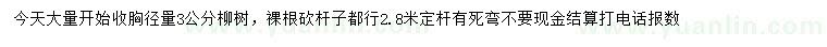 求購胸徑量3公分柳樹