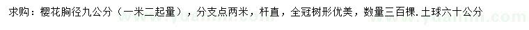求購1.2米量胸徑9公分櫻花
