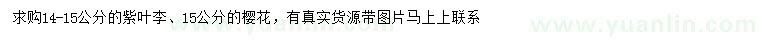 求購14-15公分紫葉李、15公分櫻花