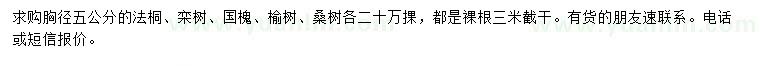 求購(gòu)法桐、欒樹、國(guó)槐等