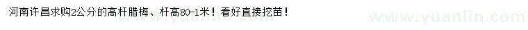 求購2公分的桿臘梅