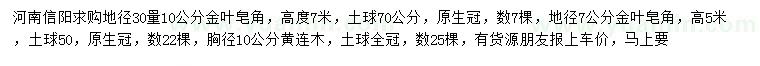 求購地徑30量7、10公分金葉皂角、胸徑10公分黃連木