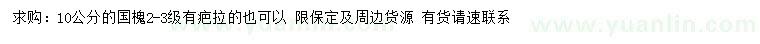 求購10公分國槐