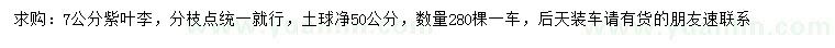 求購7公分紫葉李