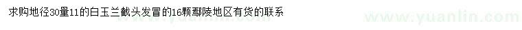 求購地徑30量11公分白玉蘭