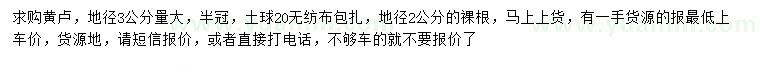 求購地徑2、3公分黃櫨