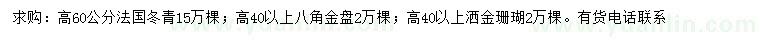 求購法國冬青、八角金盤、灑金珊瑚