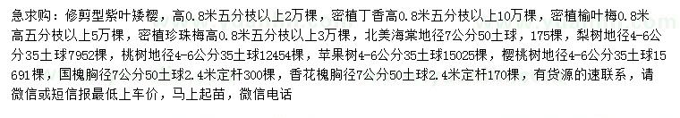 求購紫葉矮櫻、丁香、榆葉梅等