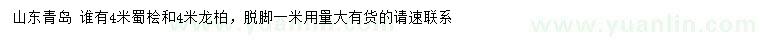求購4米蜀檜、龍柏