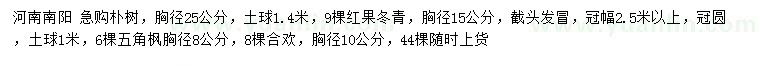 求購樸樹、紅果冬青、五角楓等