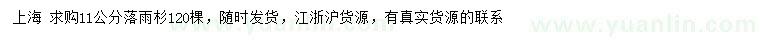 求購11公分落雨杉