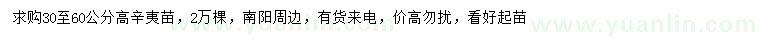 求購高30-60公分辛夷苗
