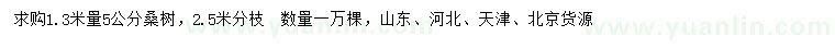 求購5公分桑樹