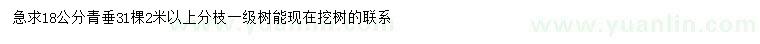 求購(gòu)18公分青垂