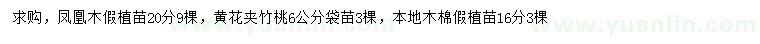 求購(gòu)鳳凰木、黃花夾竹桃、本地木棉