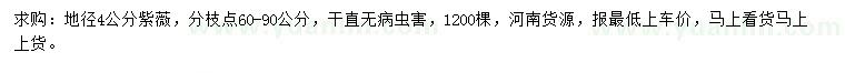 求購地徑4公分紫薇