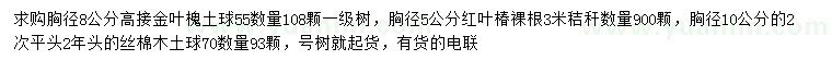 求購高接金葉槐、紅葉椿、絲棉木