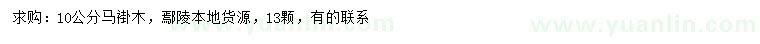 求購10公分馬褂木