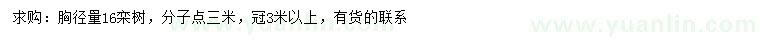 求購胸徑量16公分欒樹