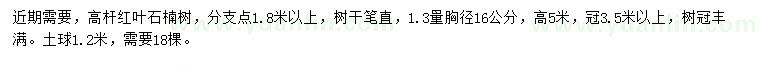 求購1.3米量胸徑16公分高桿紅葉石楠