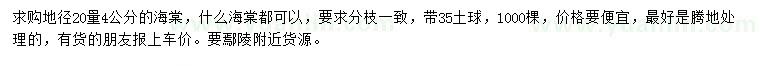 求購20量4公分海棠