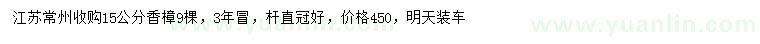 求購15公分香樟