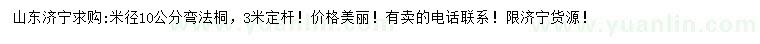 求購(gòu)米徑10公分彎法桐