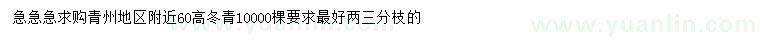 求購(gòu)高60公分冬青