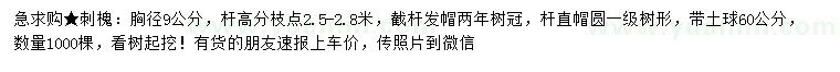 求購胸徑9公分刺槐
