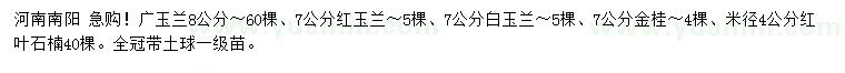 求購廣玉蘭、紅玉蘭、白玉蘭等