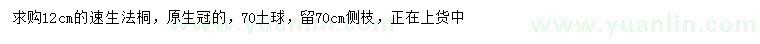 求購12公分速生法桐