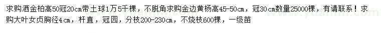 求購灑金柏、金邊黃楊、大葉女貞