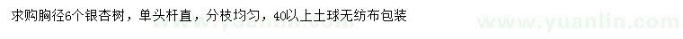 求購胸徑6公分銀杏