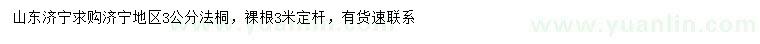 求購3公分法桐