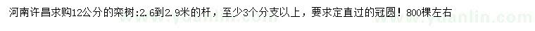 求購12公分欒樹