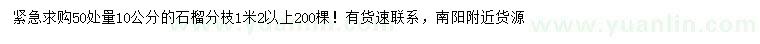 求購50量10公分石榴樹
