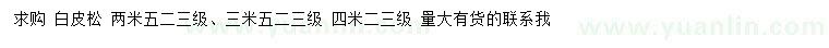 求購(gòu)2.5、3.5、4米白皮松